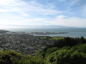 International Shipping Companies to Napier, North Island, NZ, New Zealand