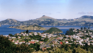 International Shipping Companies to Port Chalmers, Dunedin, South Island, NZ, New Zealand